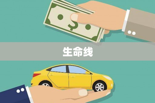 灵丘生命线