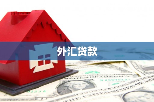 灵丘外汇贷款