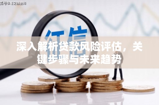 灵丘深入解析贷款风险评估，关键步骤与未来趋势