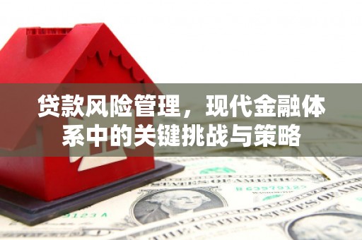 灵丘贷款风险管理，现代金融体系中的关键挑战与策略