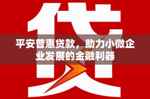 灵丘平安普惠贷款，助力小微企业发展的金融利器