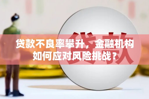 灵丘贷款不良率攀升，金融机构如何应对风险挑战？