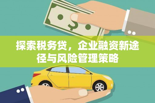 灵丘探索税务贷，企业融资新途径与风险管理策略