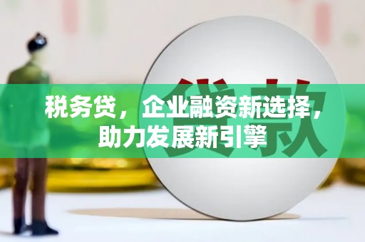 灵丘税务贷，企业融资新选择，助力发展新引擎