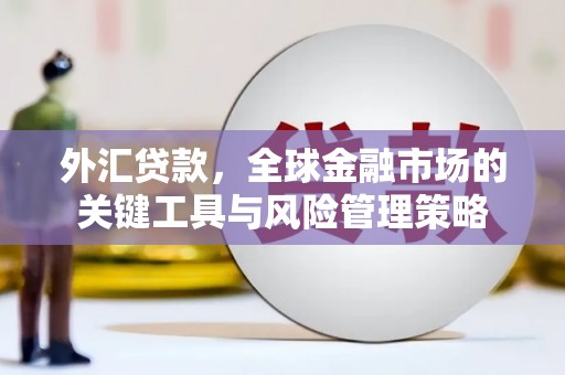 灵丘外汇贷款，全球金融市场的关键工具与风险管理策略