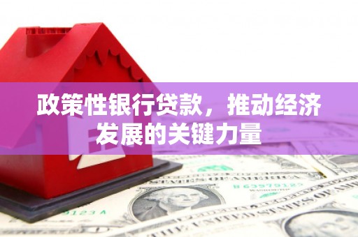 灵丘政策性银行贷款，推动经济发展的关键力量