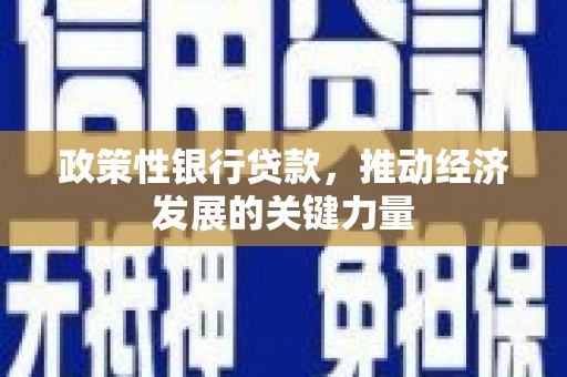 灵丘政策性银行贷款，推动经济发展的关键力量