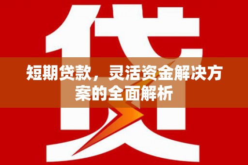 灵丘短期贷款，灵活资金解决方案的全面解析
