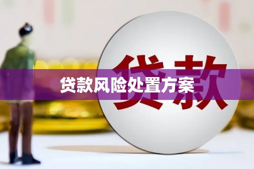 灵丘贷款风险处置方案
